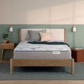 Morningscape 13.75" Plush Mattress