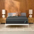 Mint Hybrid 14" Medium Plush Mattress