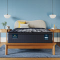 Perfect Sleeper X Max 15.25" Hybrid Firm Pillow Top Mattress Low Profile Set