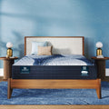 iComfort Aveda 12" Memory Foam Plush Mattress