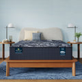 Perfect Sleeper X Excelled 13.75" Hybrid Extra Firm Mattress Set