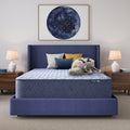 Serta Perfect Day 14" Firm Mattress in a Box