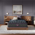 Beautyrest World Class Level Three Medium Firm Mattress