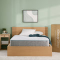 Radiant Dream 12" Hybrid Medium Mattress in a Box