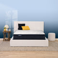 Perfect Sleeper Adoring Night 11" Plush Euro Top Mattress Set