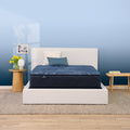 Perfect Sleeper Cameron 13.25" Plush Mattress