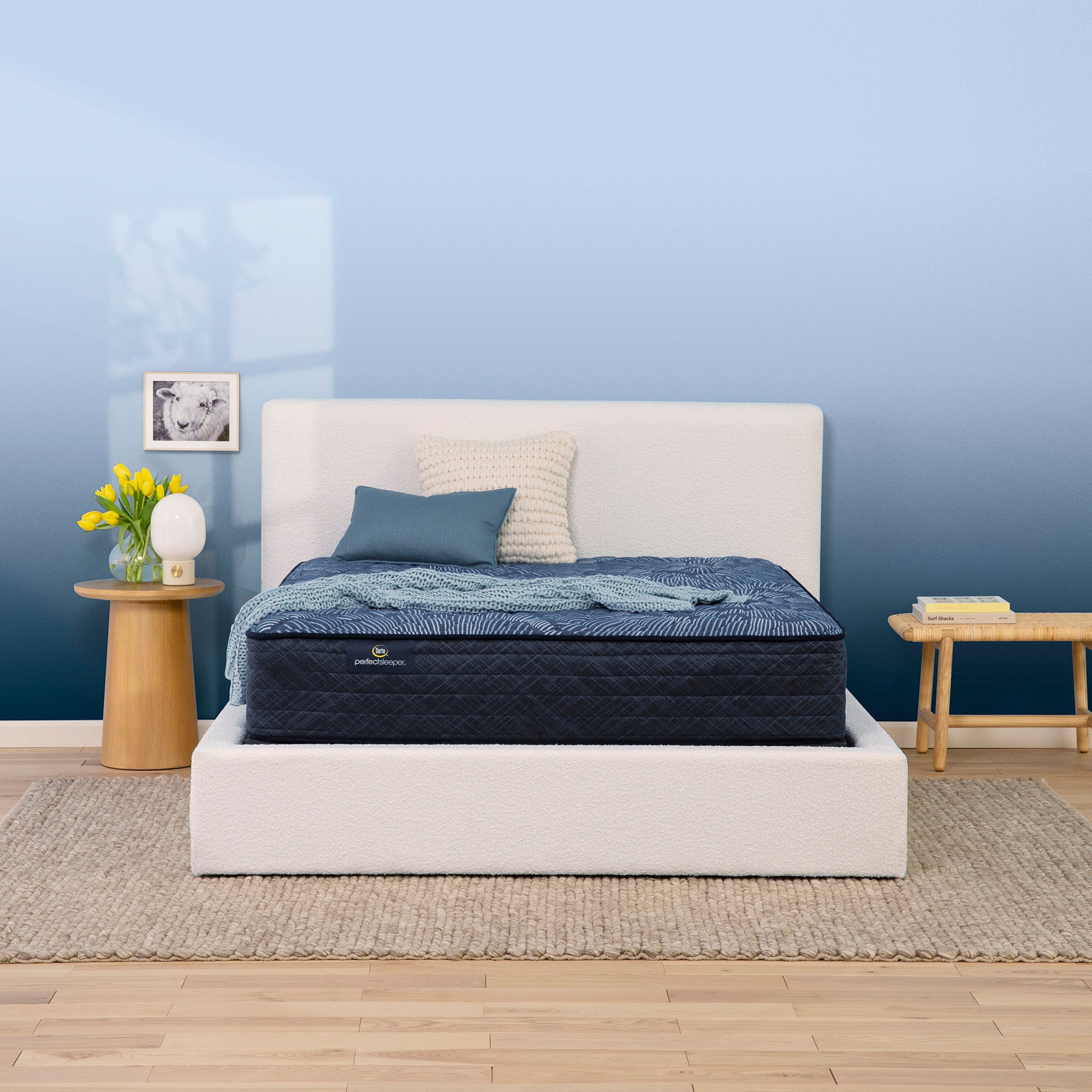 Perfect Sleeper Cobalt Calm 12" Extra Firm Mattress Low Profile Set