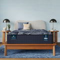 Perfect Sleeper X Excelled 14.25" Hybrid Plush Mattress Low Profile Set