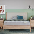 DreamRest 12.25" Medium Euro Top Mattress