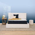 Perfect Sleeper Adoring Night 10.5" Firm Mattress Low Profile Set