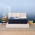 Perfect Sleeper Oasis Sleep 15" Plush Pillow Top Mattress Low Profile Set