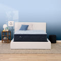 Perfect Sleeper Blue Lagoon Nights 14.5" Plush Pillow Top Mattress