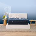 Perfect Sleeper Cobalt Calm 14.5" Medium Pillow Top Mattress with Adjustable Frame