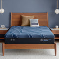 iSeries NXG 2500 12.5" Memory Foam Plush Mattress