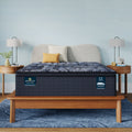 Perfect Sleeper X Lexton 14.25" Hybrid Medium Pillow Top Mattress Set