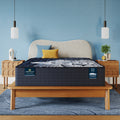 Perfect Sleeper X Max 14.25" Hybrid Medium Mattress