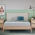 DreamRest 11.5" Firm Mattress