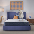 Serta Perfect Day 12" Firm Mattress in a Box
