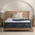 Harmony Divers Bay 14.75" Plush Pillow Top Mattress
