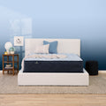 Perfect Sleeper Nurture Night 13.5" Medium Mattress Set