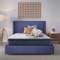 Serta Perfect Day 12" Plush Pillow Top Mattress in a Box