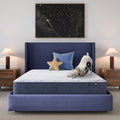 Five Star Mattress Sleep to Go 10" Medium Mattress in a Box